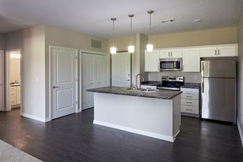 Stainless steel appliances*