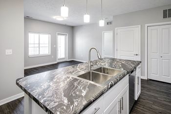 Dishwasher & garbage disposal