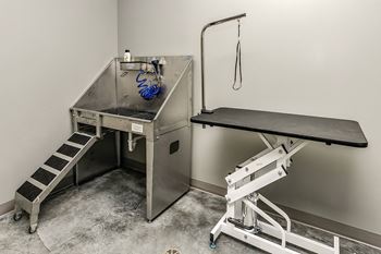 Pet wash station