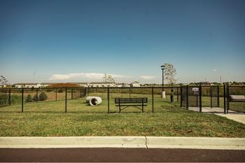 Large and small dog park areas