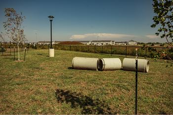 Large and small dog park areas