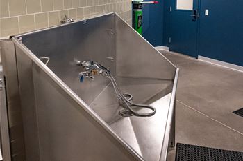Pet wash station