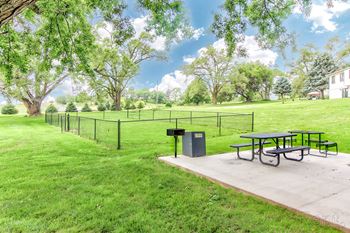 Dog park