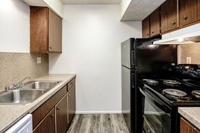 Papillion apartment for rent - A kitchen with a black refrigerator and stove top oven.