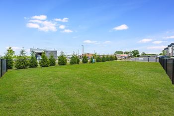 Dog park