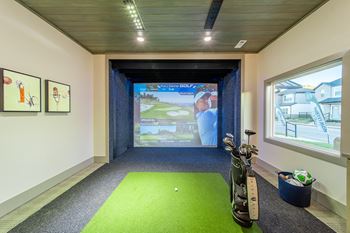 Sports simulator