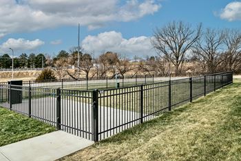 Dog park view