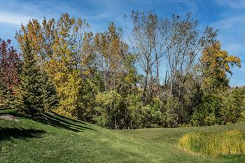 Lush green space