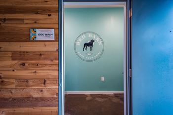 Community pet wash