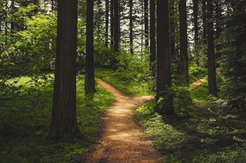 Mountain biking & hiking trail access