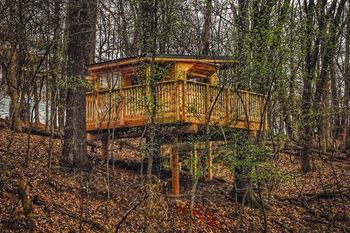 Outdoor treehouse