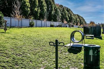 Dog park