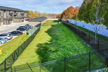 Dog park