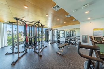 Cardio & strength rooms