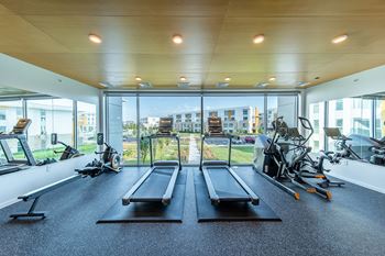 Cardio & strength rooms