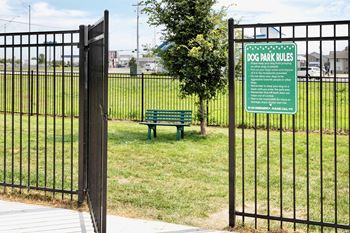 Dog park