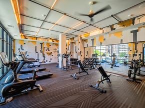 Allentown apartment for rent - A gym with a variety of equipment including treadmills, stationary bikes, and weight machines.