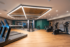 Easton apartment for rent - A gym with treadmills, weights, and exercise equipment.