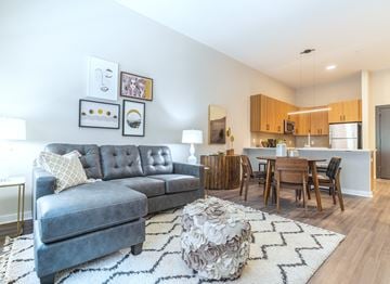 Allentown apartment for rent - A modern living room with a grey sofa and a black and white rug.