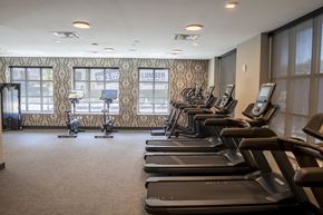 Allentown apartment for rent - A gym with treadmills and elliptical machines at The Hive Apartments, Allentown, PA, 18101