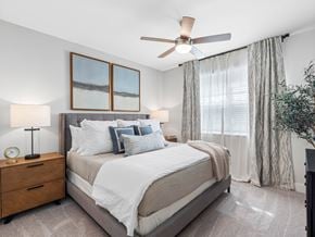 Wesley Chapel apartment for rent - A bedroom with a large bed, a ceiling fan, and a plant.