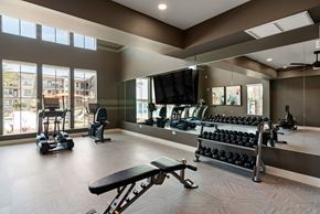Queen Creek apartment for rent - A gym with a variety of equipment including dumbbells, weight machines, and a flat screen TV.