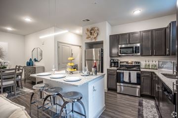 Rowlett apartment for rent - The Luxe at Rowlett 55+ Active Adult