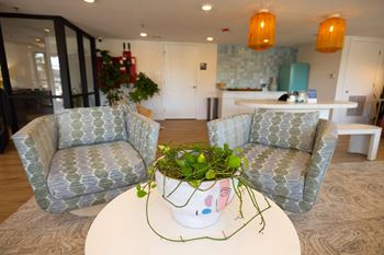 A living room with two chairs and a table with a potted plant