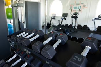 A row of dumbbells in a gym