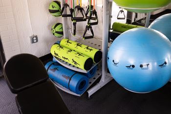 The gym has a variety of weights and exercise equipment