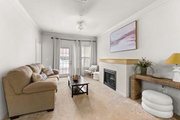 Alexandria apartment for rent - a living room with a couch and a fireplace