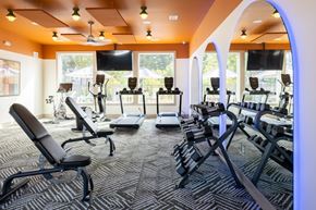 Okemos triplex for rent - A gym with a variety of equipment including treadmills, stationary bikes, and weight machines.