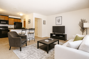 East Lansing apartment for rent - A living room with a white couch, a black coffee table, and a black television.