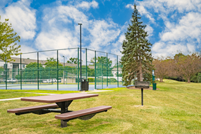 Ann Arbor apartment for rent - A picnic table sits in a grassy field next to a tall tree.