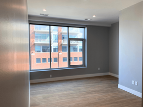 Royal Oak apartment for rent - Natural light and windows in Royal Oak Apartments | Main Living Apartments in Royal Oak MI