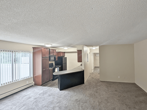 Okemos apartment for rent - A spacious living room with a black sofa and a television.