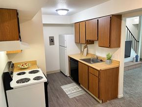 East Lansing apartment for rent - a kitchen with a stove and a sink and a refrigerator