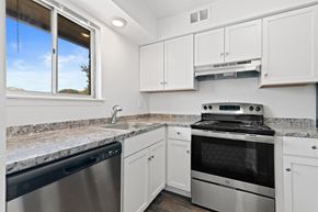 Allen Park apartment for rent - Renovated Kitchen