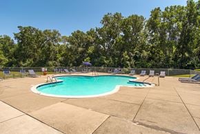 Plymouth apartment for rent - A swimming pool surrounded by trees and lounge chairs.