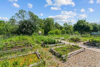 Aerial courtyard view