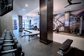 Royal Oak apartment for rent - a gym with weights and a wall mural of a ski slope
