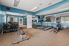 Westland apartment for rent - a gym with cardio equipment and weights in a room with windows