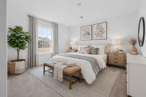 Canton apartment for rent - A well-lit bedroom with a large bed and a potted plant.