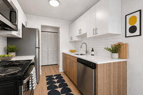 Auburn Hills apartment for rent - A modern kitchen with a black stove top oven and a black and white rug on the floor.