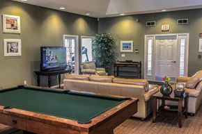 Petoskey apartment for rent - a game room with a pool table and a tv
