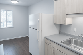 Columbus Junction apartment for rent - A kitchen with a white refrigerator, sink, and cabinets.