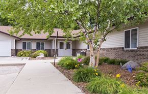 Hartley apartment for rent - A tree with green leaves stands in front of a house.