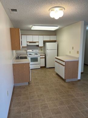 Hartley apartment for rent - A kitchen with white appliances and wooden cabinets.
