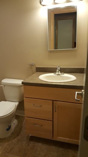 Columbus Junction apartment for rent - A bathroom with a toilet, sink, and mirror.