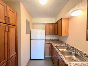 Adel apartment for rent - a kitchen with a refrigerator and sink and wooden cabinets